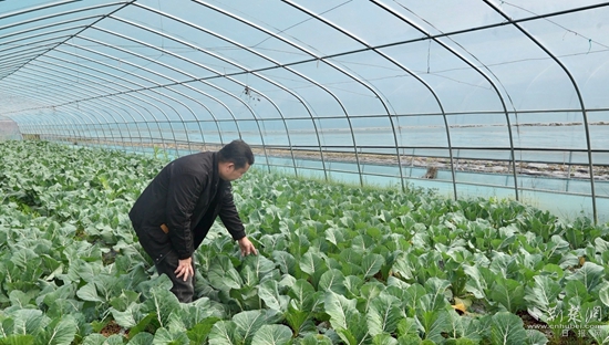 通山 農(nóng)業(yè)1.jpg